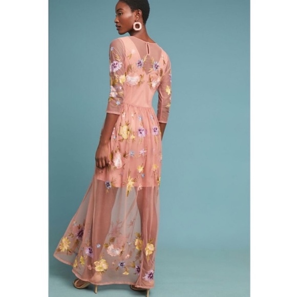 Anthropologie Dresses & Skirts - Anthropologie Meadow Rue Dress Size Large with Embroidered Tulle